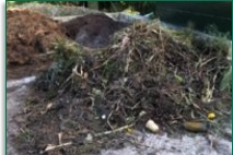 Allotment Garden Waste with Spoilt Cattle Feed (behind)
