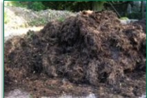 Horse Stable Manure